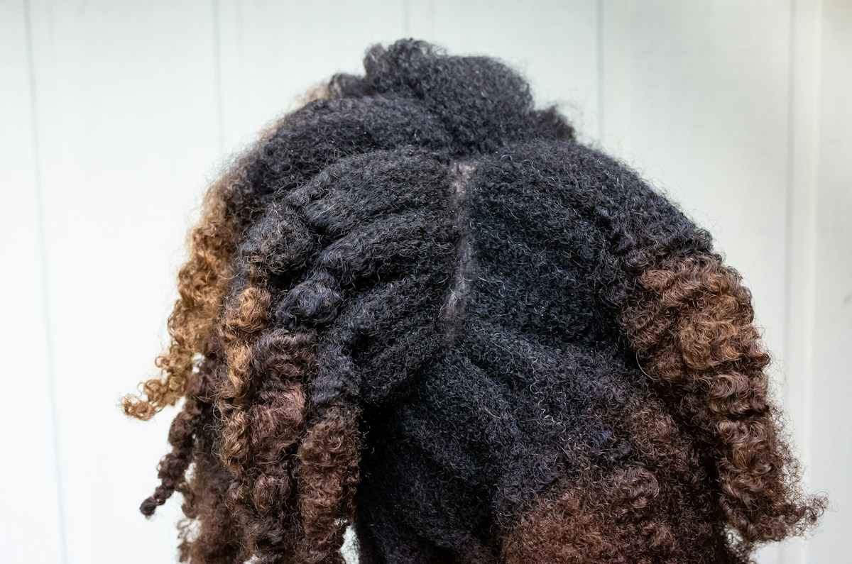 Starter Locs (Comb Coils or Two-Strand) by Ara Mytrice