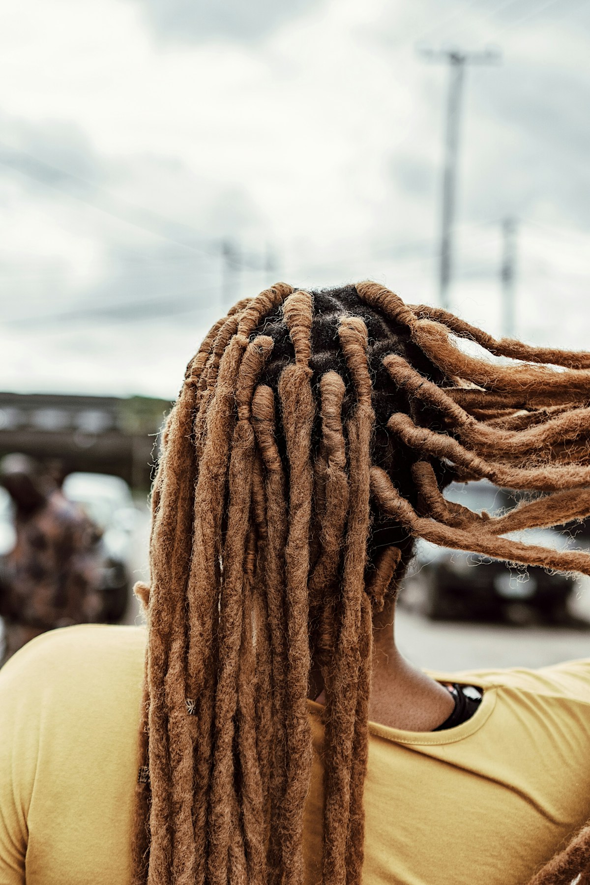 Instant Locs (Crochet Method) by Ara Mytrice